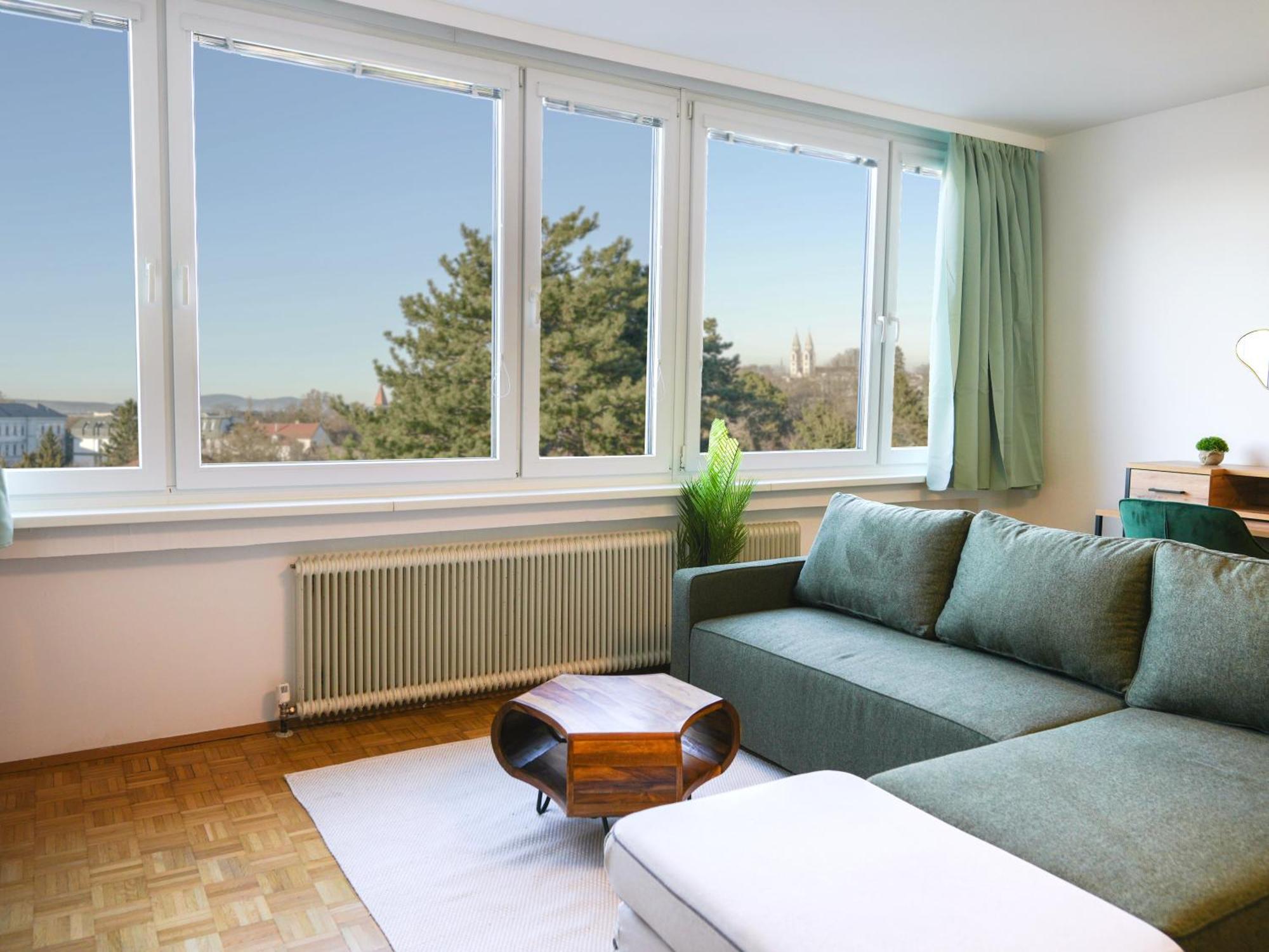 Spacious Apartments With View & Free Parking Wiener Neustadt Exterior photo
